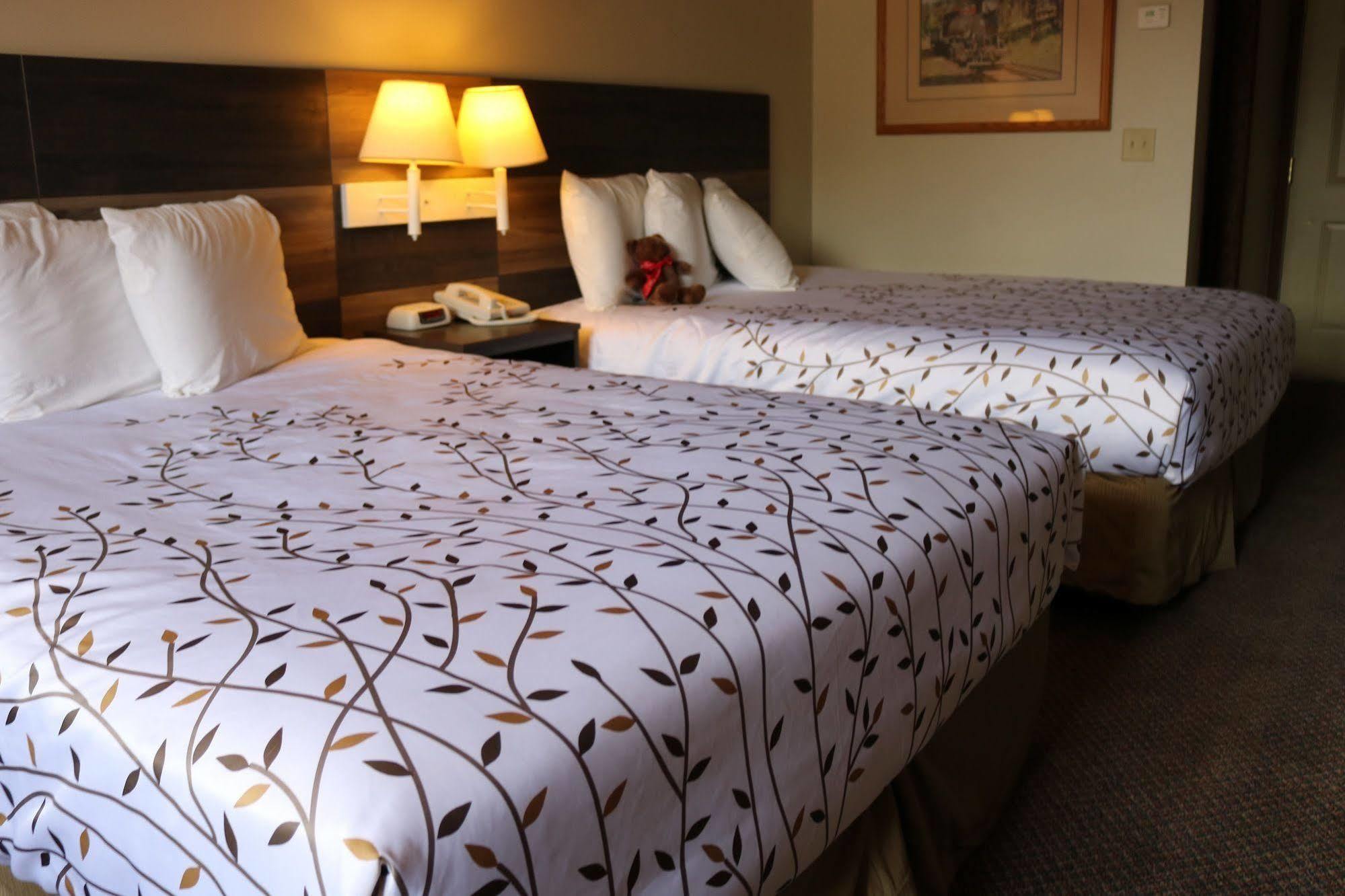 Roosevelt Inn Mount Rushmore Keystone Εξωτερικό φωτογραφία